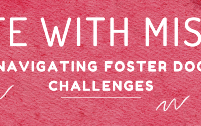 Life with Misty: Navigating Foster Dog Challenges
