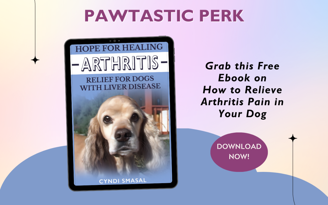 Discover the Secret to Healing Arthritis in Dogs with Liver Disease