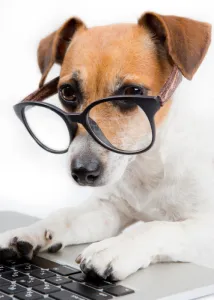 dog-nutrition2
